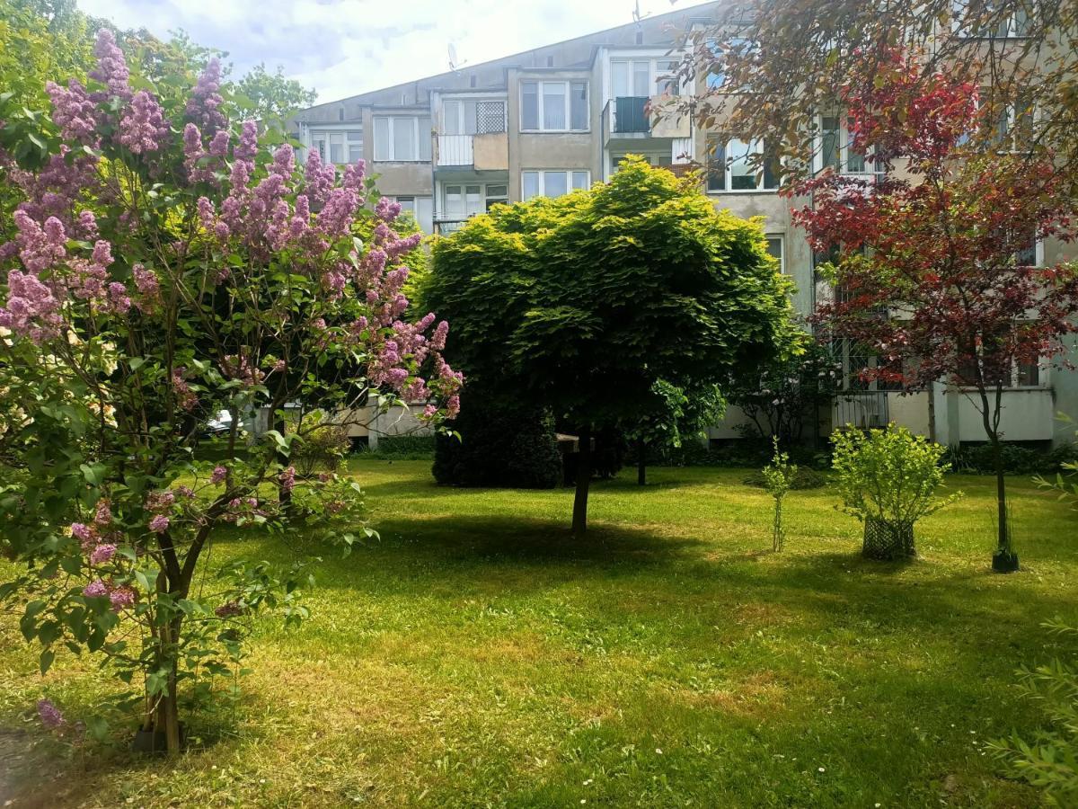 Przytulny Dwuosobowy Apartament Jaworowa 弗罗茨瓦夫 外观 照片